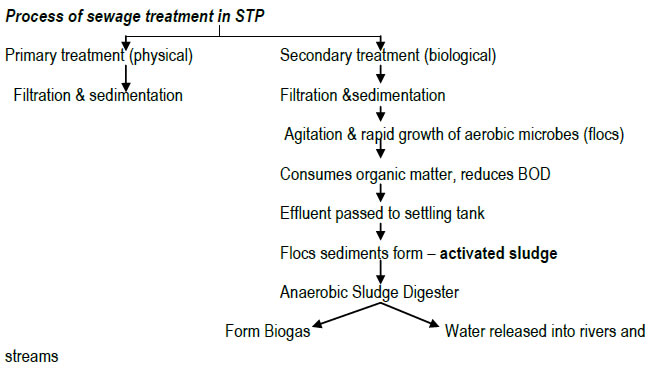 sewage-treatment-most-important-class-12-biology-chapter-10-microbes